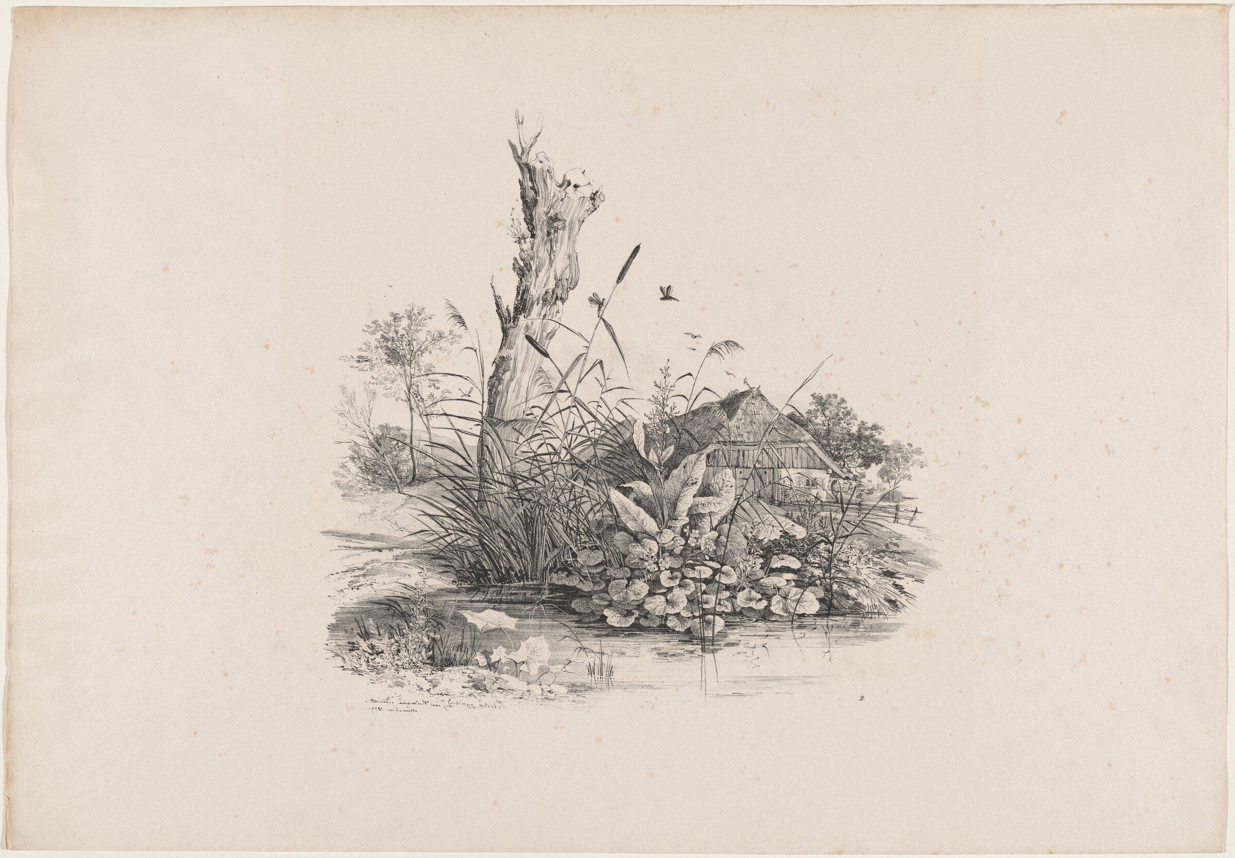 Withered Tree by a Pond, Carl August Lebschée, 1829