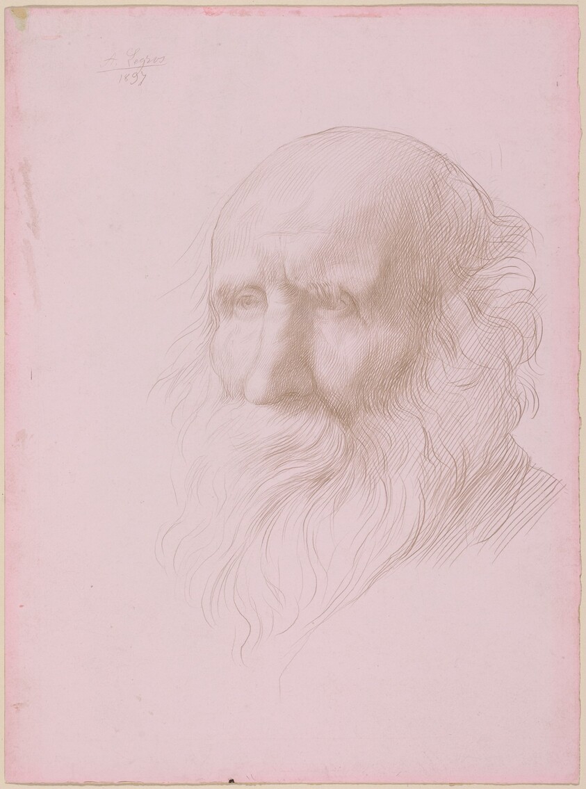 Head of an Old Man
