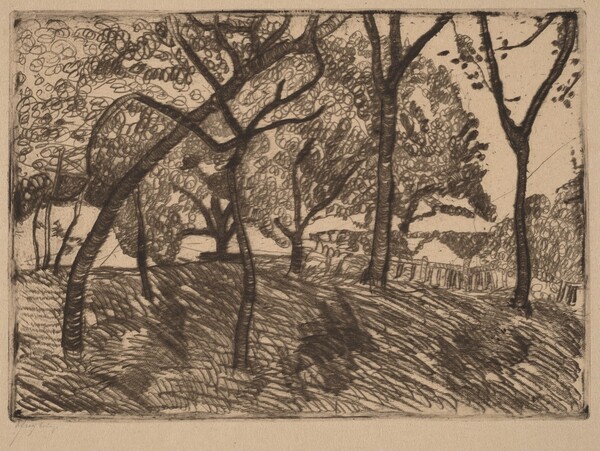 Landscape with Trees