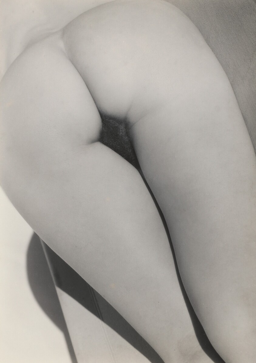 Georgia O'Keeffe—Torso