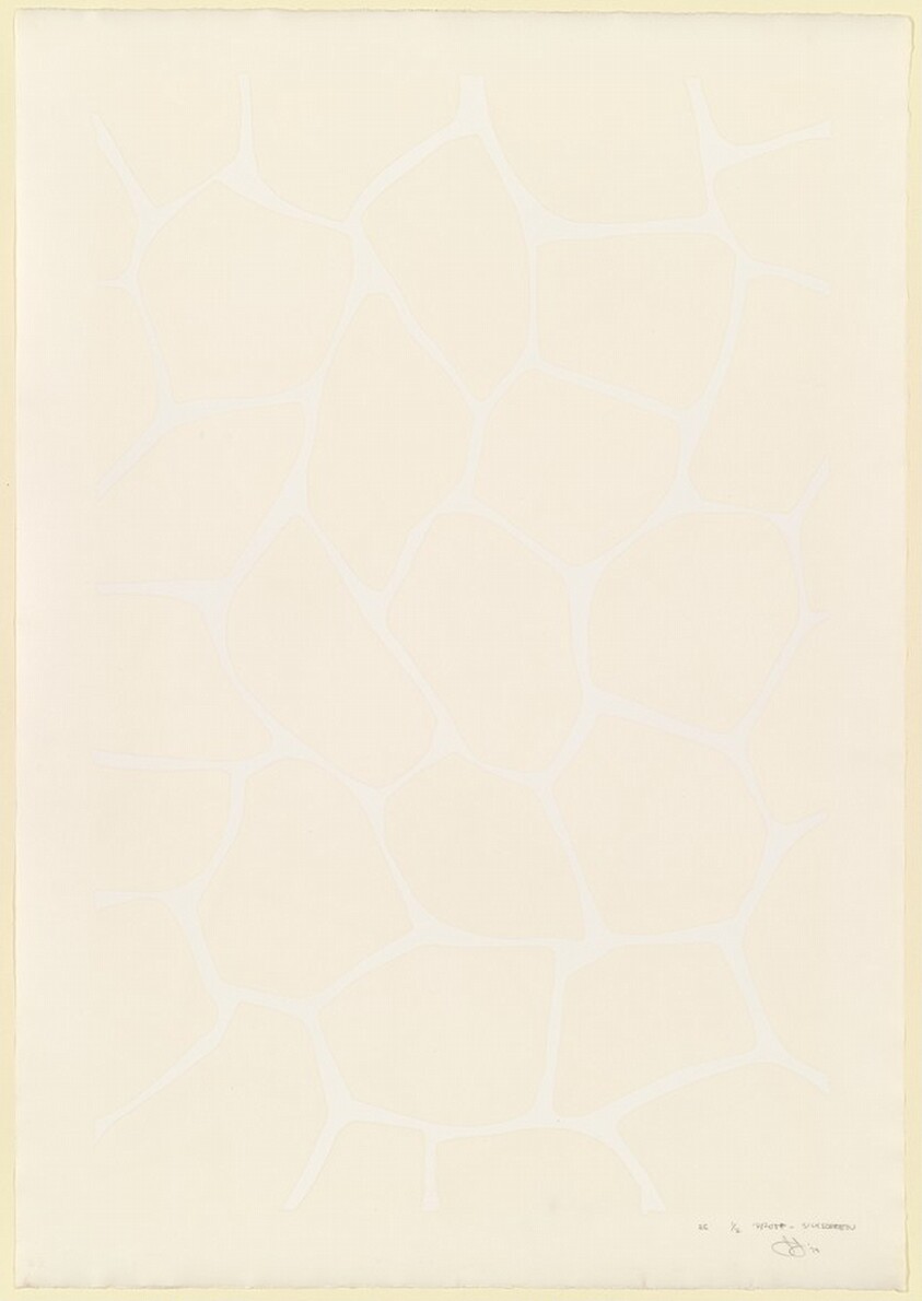 Four Panels from Untitled 1972 [C panel, trial proof 2]