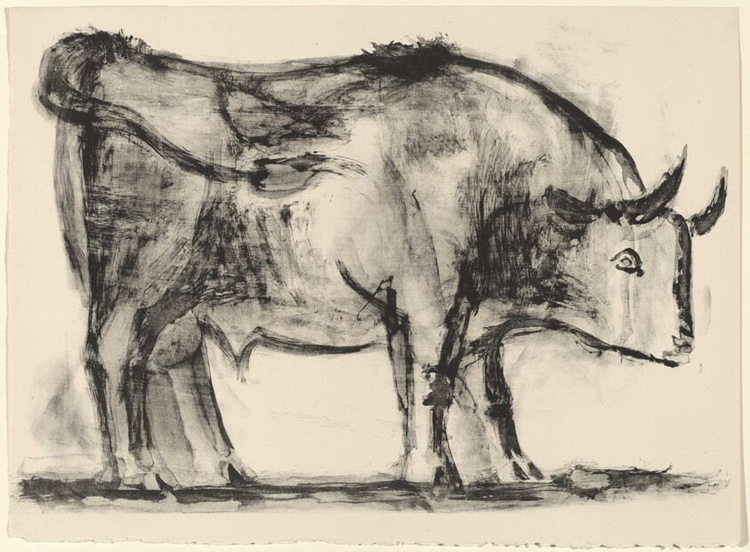 The Bull (Le taureau)