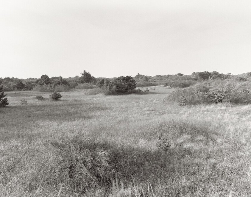 The Interior of the Spit