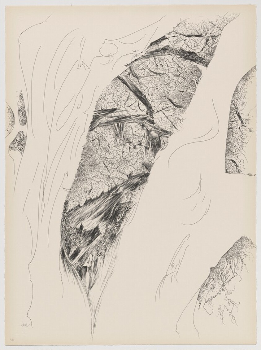 Tree Opening from Of Nature, Of Man