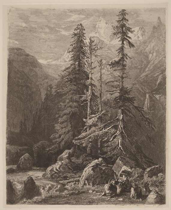 The image shows a landscape with a group of goats on rocky ground in the foreground. Tall pine trees stand to the right, and a river flows through the terrain towards mountains in the distance. The mountains are covered in snow, under a textured sky. The scene is depicted using fine lines and cross-hatching, in a monochrome color scheme, resembling a classical etching.