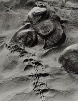 Untitled (Capitol Reef), Minor White, c. 1950