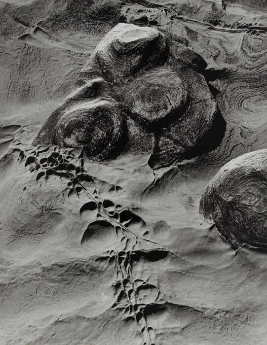 The image shows a textured surface made of sand and rocks. There are intricate patterns of depressions in the sand resembling fossils. Larger rocks with swirling patterns and layered striations are diagonally positioned. The horizon is not visible, implying a flat angle focusing on detail. The monochrome palette highlights the textures and shapes of the sand and rocks in various shades of gray.