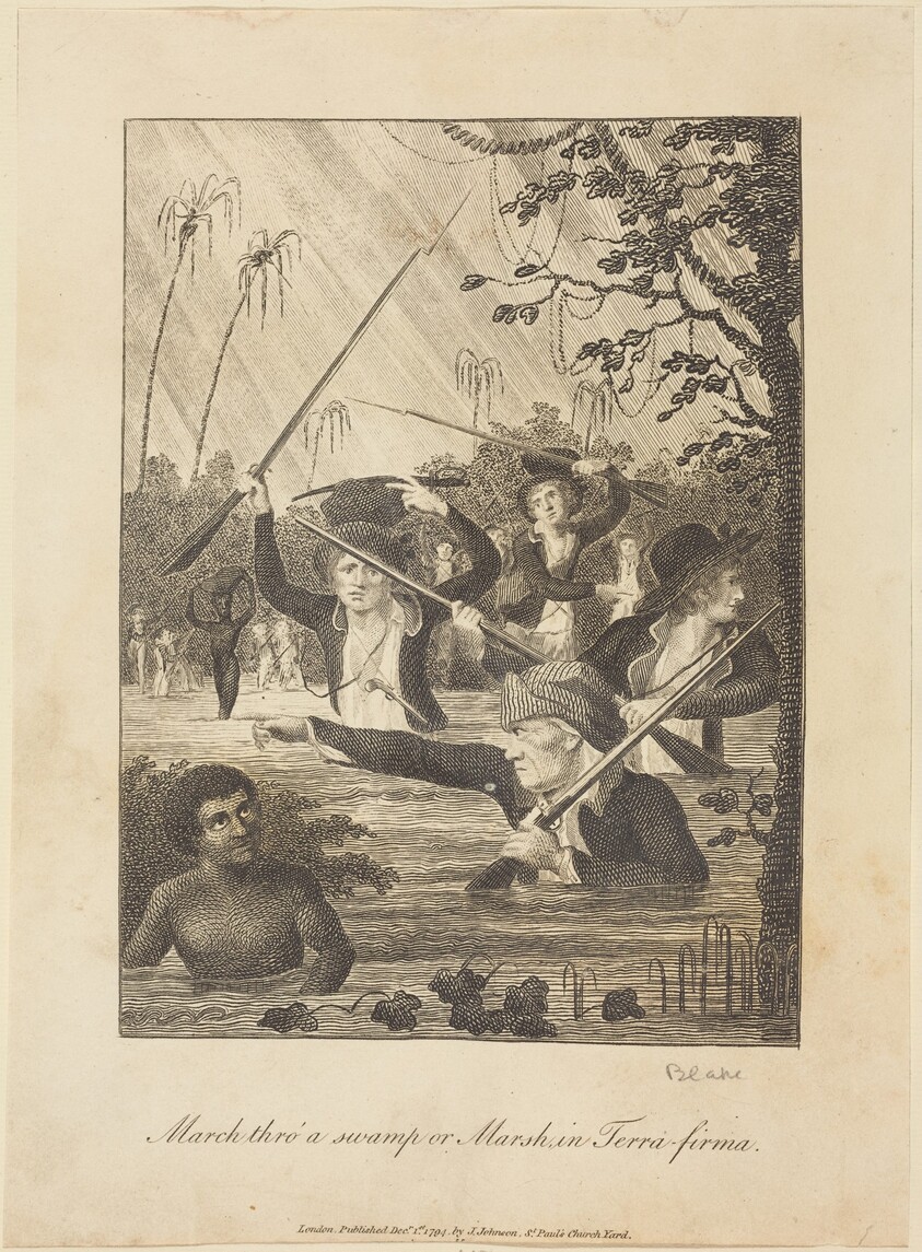 March thro' a swamp or Marsh in Terra-firma