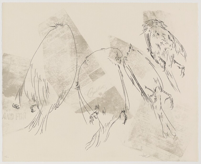 Birds from Of Nature, Of Man