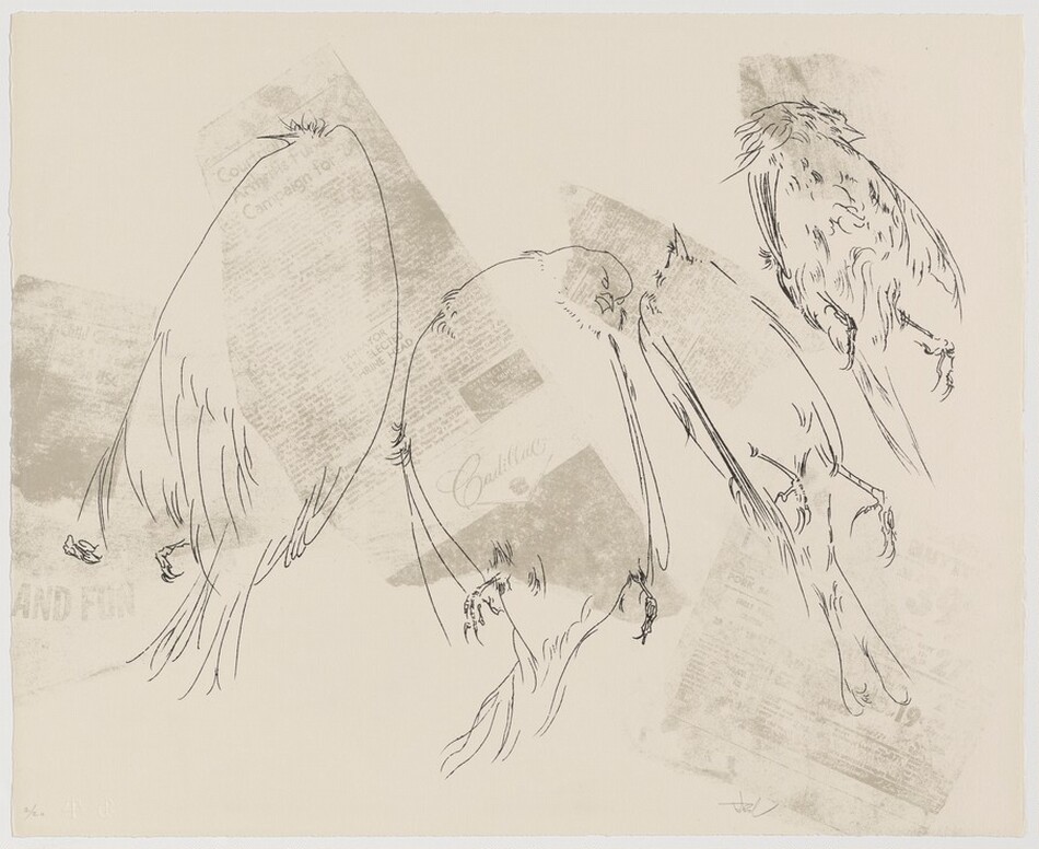The image displays four abstractly sketched birds in different poses on a background filled with faintly visible text and advertisements. The color scheme is minimal, primarily black on an off-white or cream background with some grayish tones. The birds face varying directions – one with upward curving wings on the left, one with a downward arcing body next, followed by a similar pose with the third bird showing more tail feathers, and the rightmost bird with spread wings and more body detail.