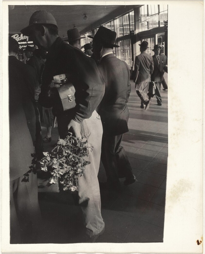 Man holding flowers--San Francisco