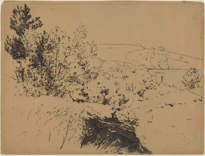 Coastal Landscape
