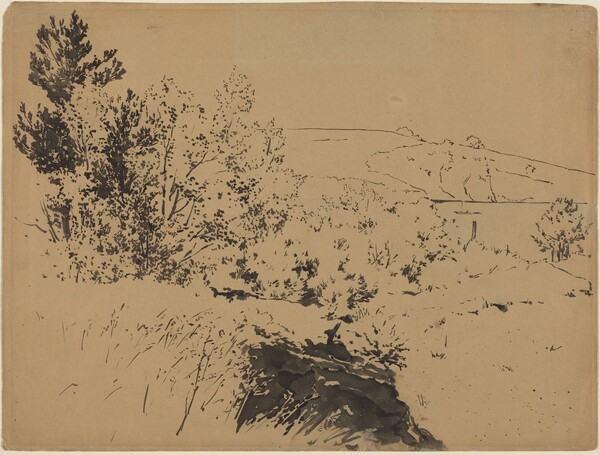 Coastal Landscape