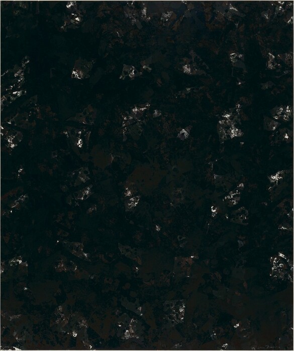 The image depicts an intricate pattern of dark, irregular shapes and lines creating an abstract texture. Lighter patches are scattered throughout the design, which features deep green and brown hues. The interplay of light and shadow suggests a moonlit landscape or city lights seen from above at night. The composition prompts viewers to consider their own interpretations and connections to distant sights.