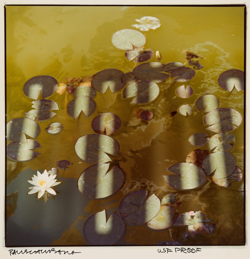 Study for Chinese Summerhall