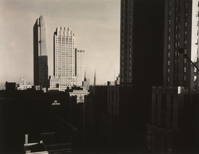 New York from the Shelton