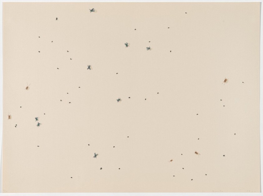 Pearl Dust Combination from Insects