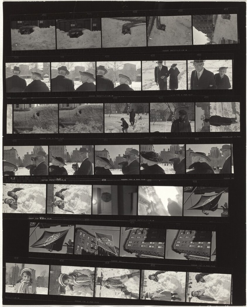 Snow--New York City 3