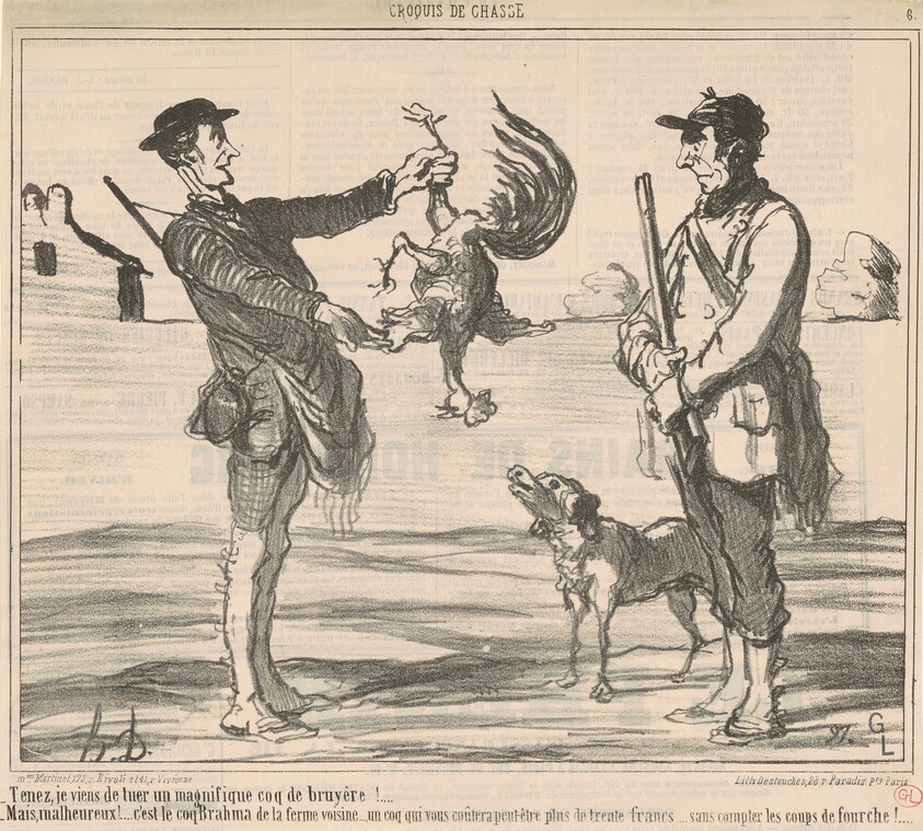 Tenez, je viens de tuer un magnifique ...