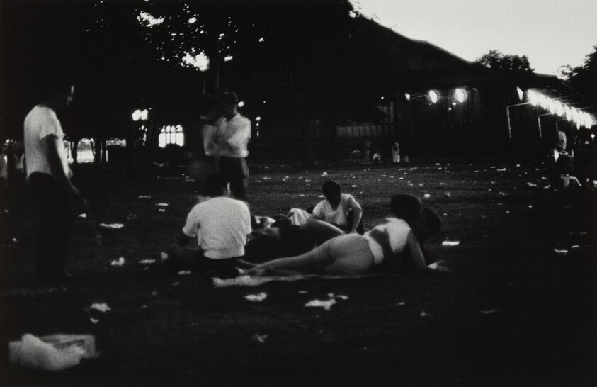 The Adolescent Comedy