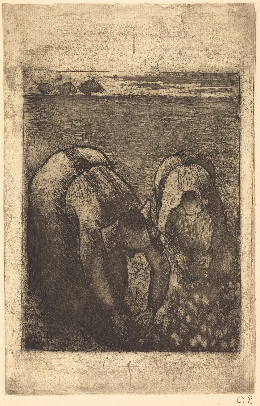 Peasants in a Field of Beans (Paysannes dans un champ de haricots)