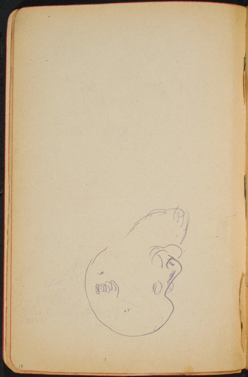 begonnene Skizze eines Mannes mit Bart (Sketch of a Man with a Beard) [p. 18]