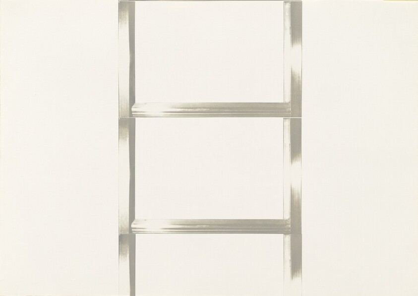 20 Foot Ladder for any Size Wall [III]