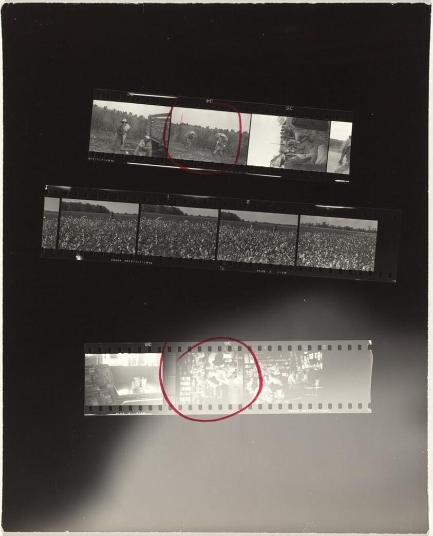 Guggenheim 315--Arkansas