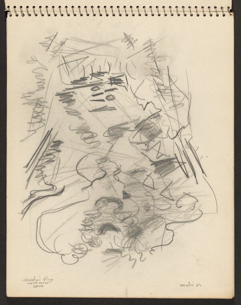 Movement, Machais River, Maine