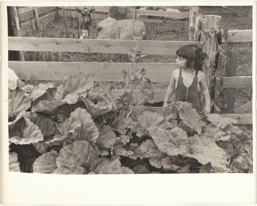 Andrea in garden--Pennsylvania