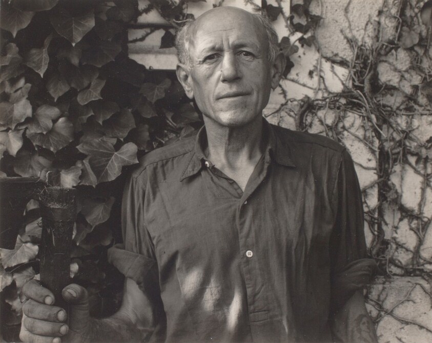 Man, Gondeville, Charente, France