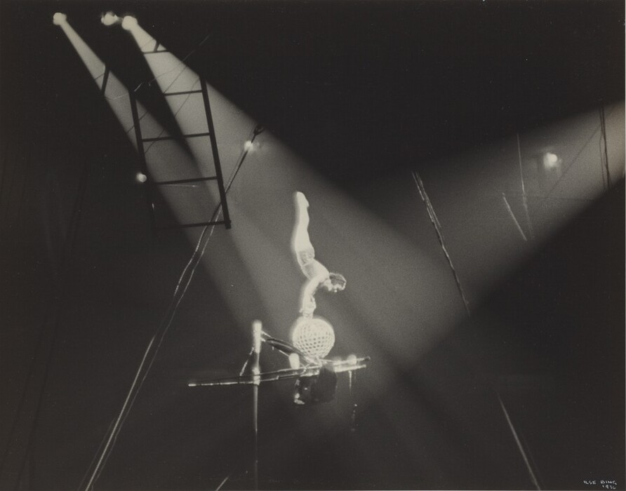 This is a photograph of a circus performance under focused lights. It captures a moment on a high trapeze setup. A central beam of light illuminates the trapeze apparatus, creating a contrast with the surrounding darkness. Overhead, beams of light create a geometric pattern. A ladder is visible on the left. The image effectively uses light and shadow to convey the tension of a circus act.