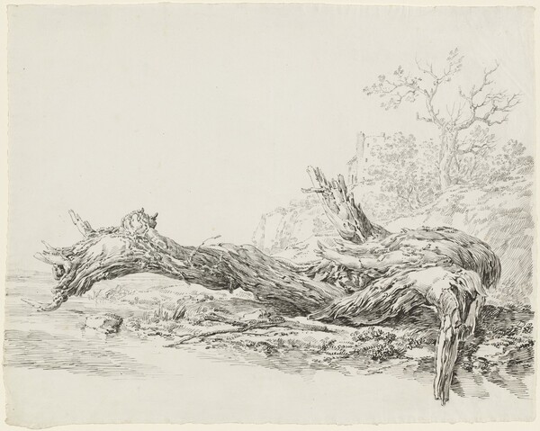 An Ancient Tree Fallen Beside a Stream