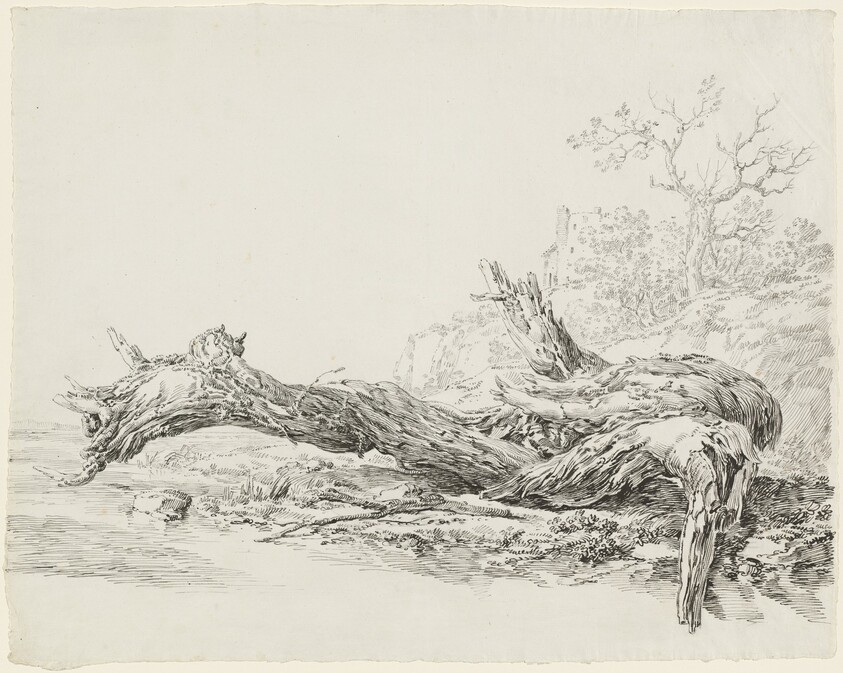 An Ancient Tree Fallen Beside a Stream