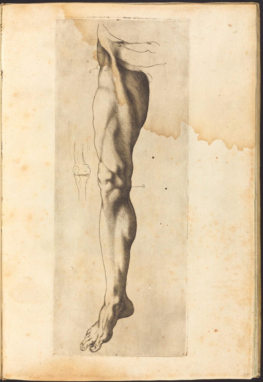 Print from Drawing Book