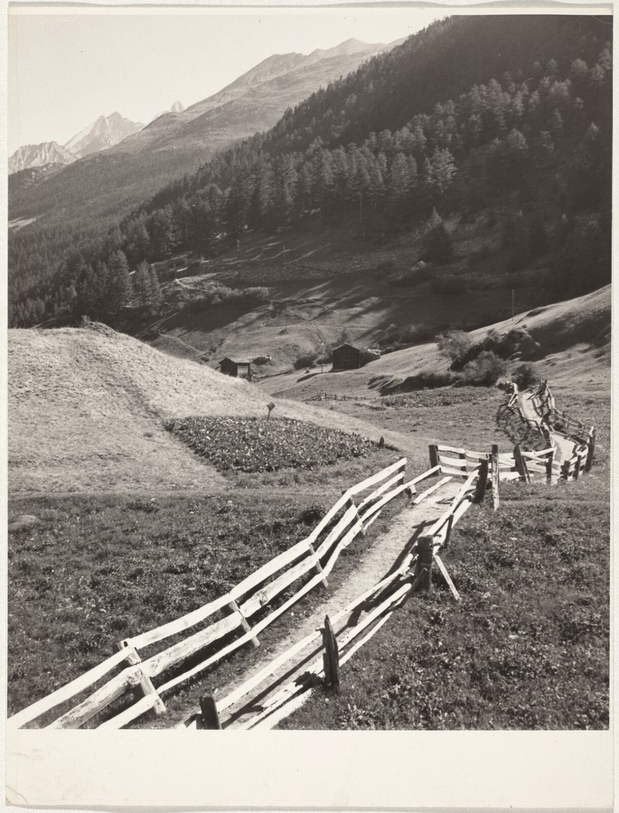 Valley--Landscape, Robert Frank, 1941-1945