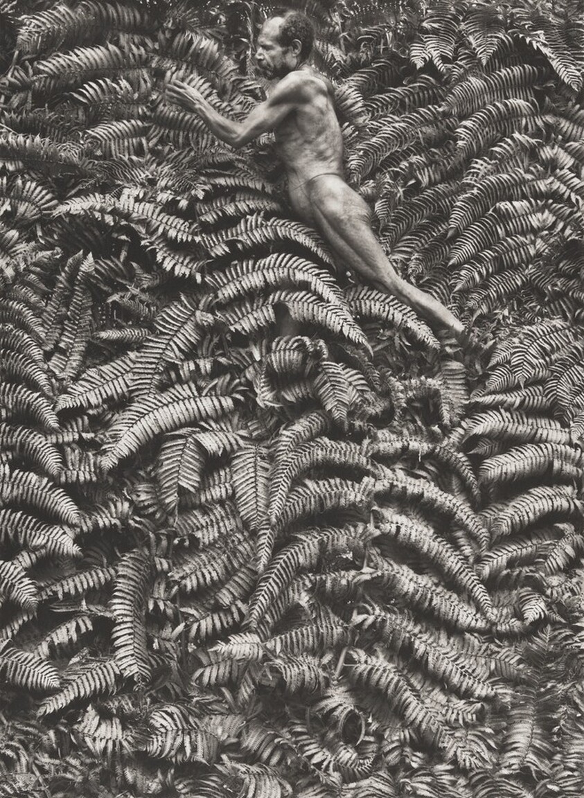 Yali men spend most of their time hunting in the forest where they also collect insects, fruit and vegetables. West Papua. Indonesia.