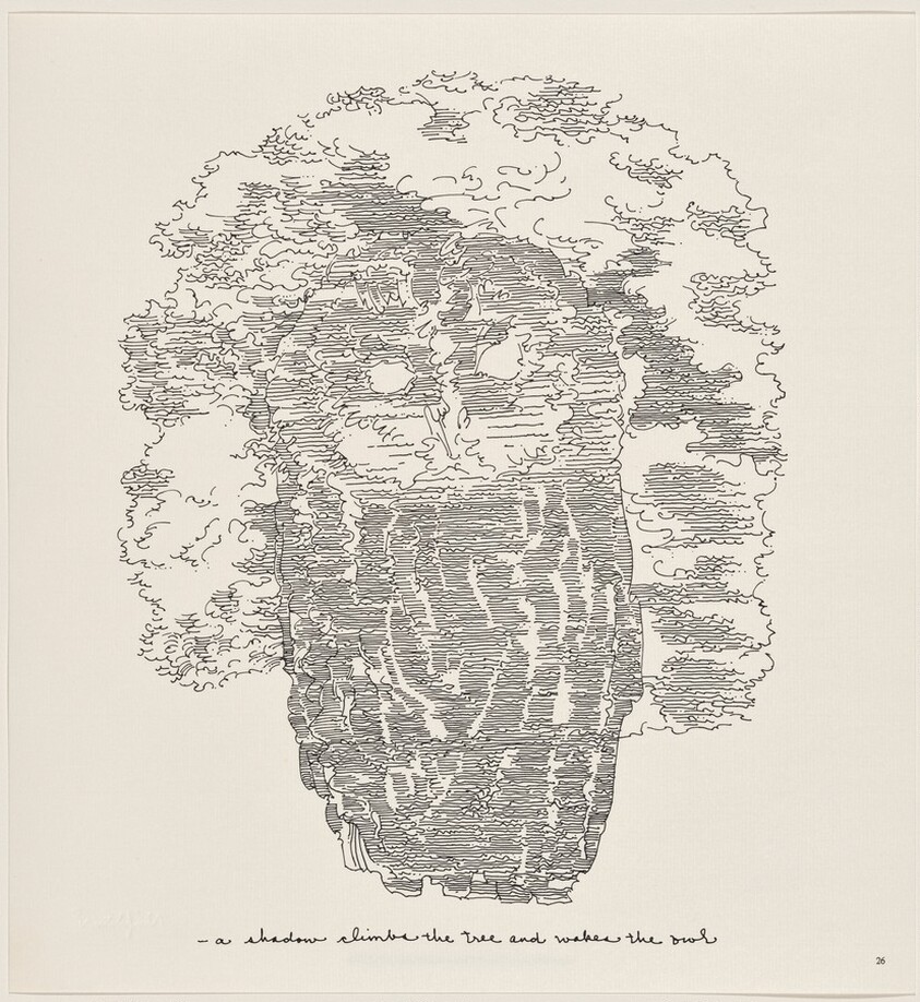 Owl Feathers: page 26