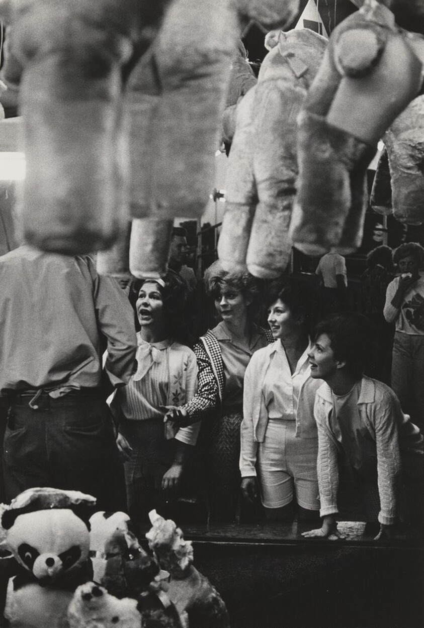 The Adolescent Comedy