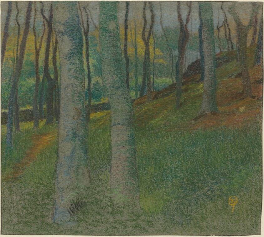 Wooded Landscape