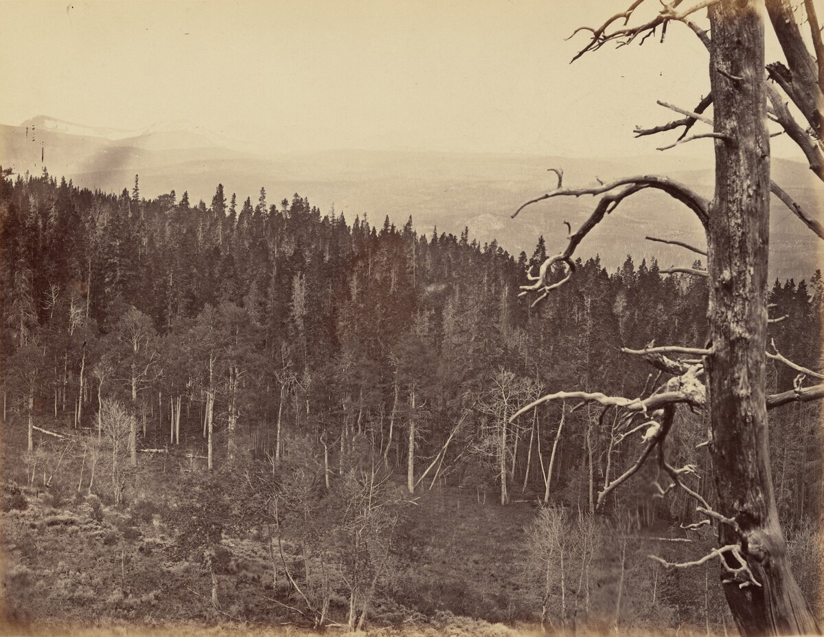 Plate 13. Snow and Timber Line, Laramie Mountains