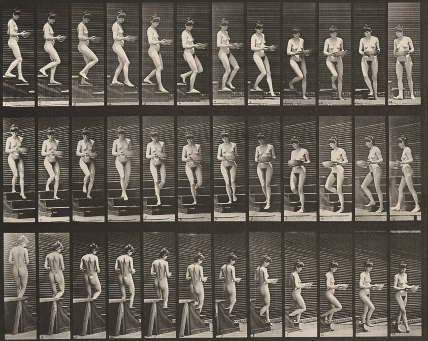 Plate Number 144. Descending stairs and turning with a basin in hands