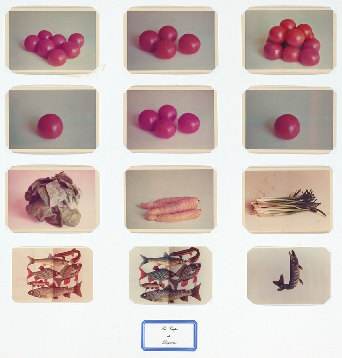 La Soupe de Daguerre (The Soup of Daguerre)