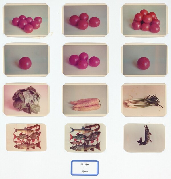 La Soupe de Daguerre (The Soup of Daguerre)