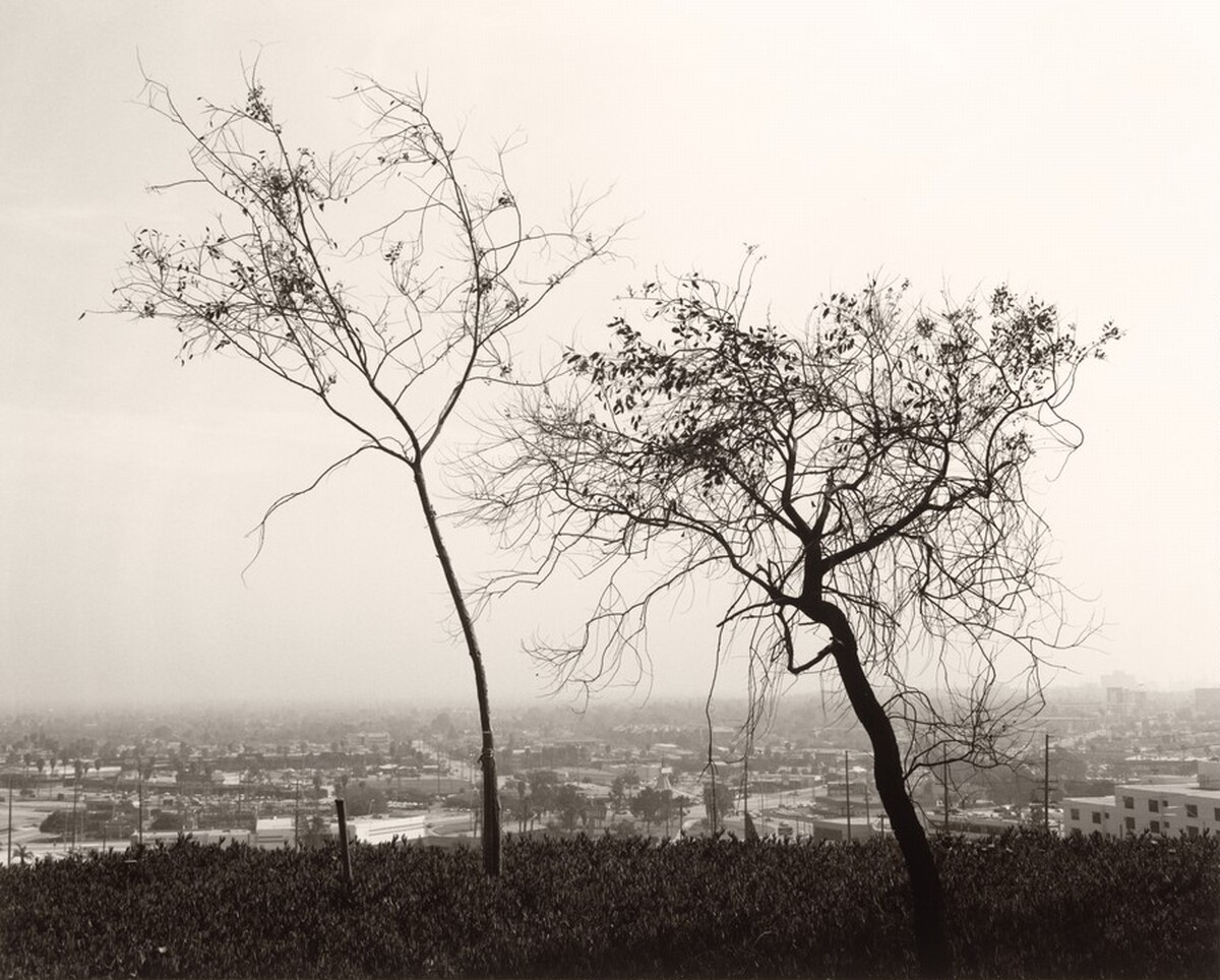 On Signal Hill, overlooking Long Beach, California