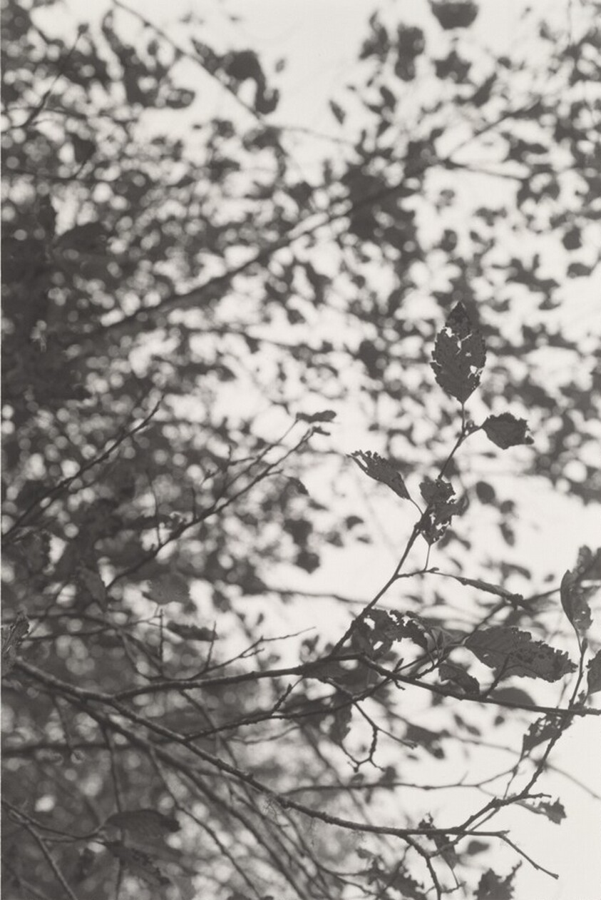 Neahkahnie Mountain, Oregon