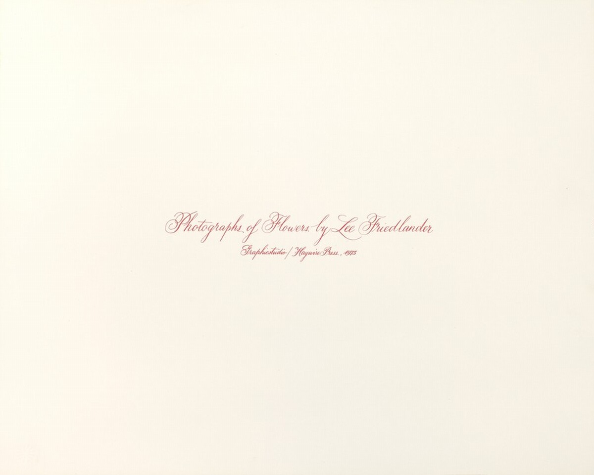 Photographs of Flowers Title Page