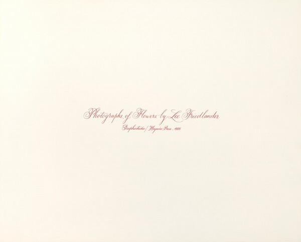 Photographs of Flowers Title Page