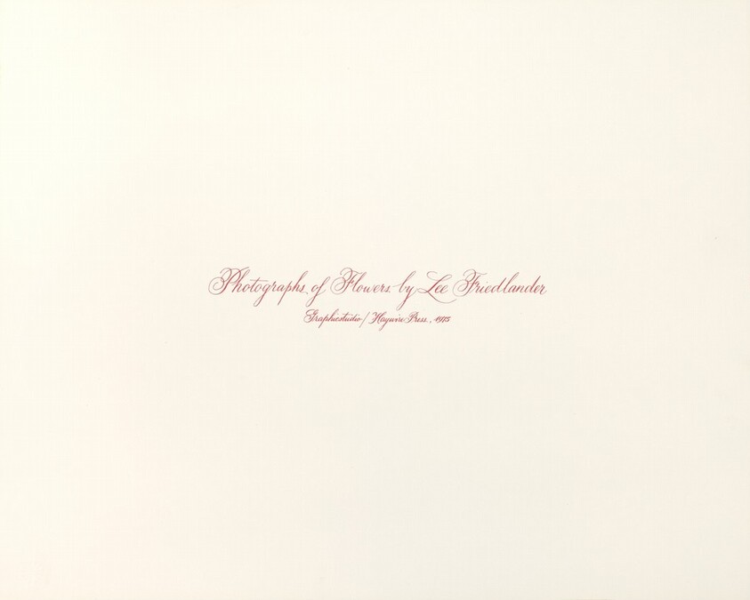 Photographs of Flowers Title Page