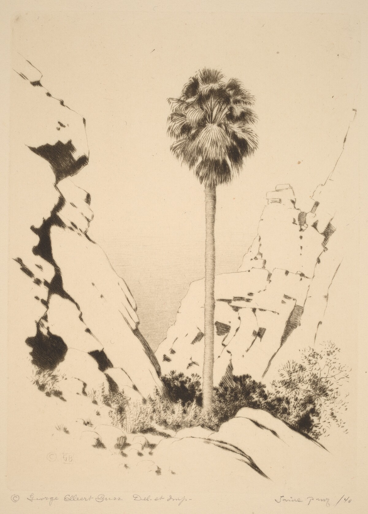 Palm Canyon (no.1)